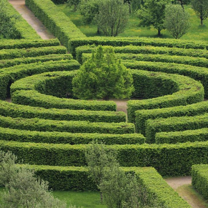 Labyrinth