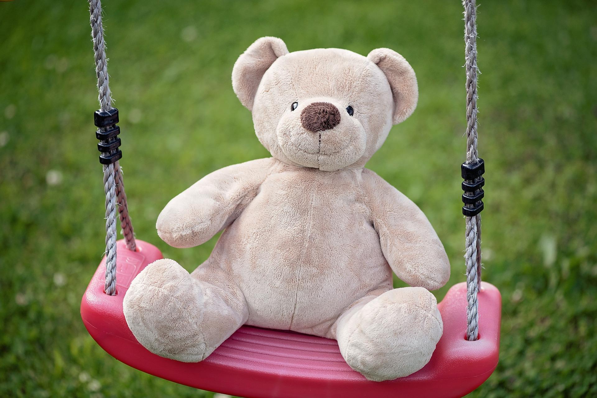 Teddy