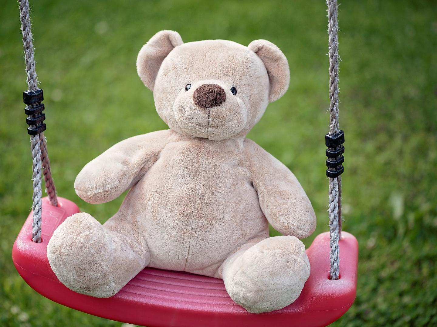 Teddy