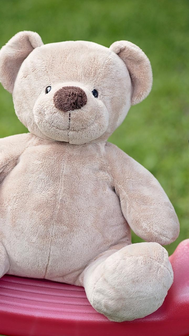 Teddy