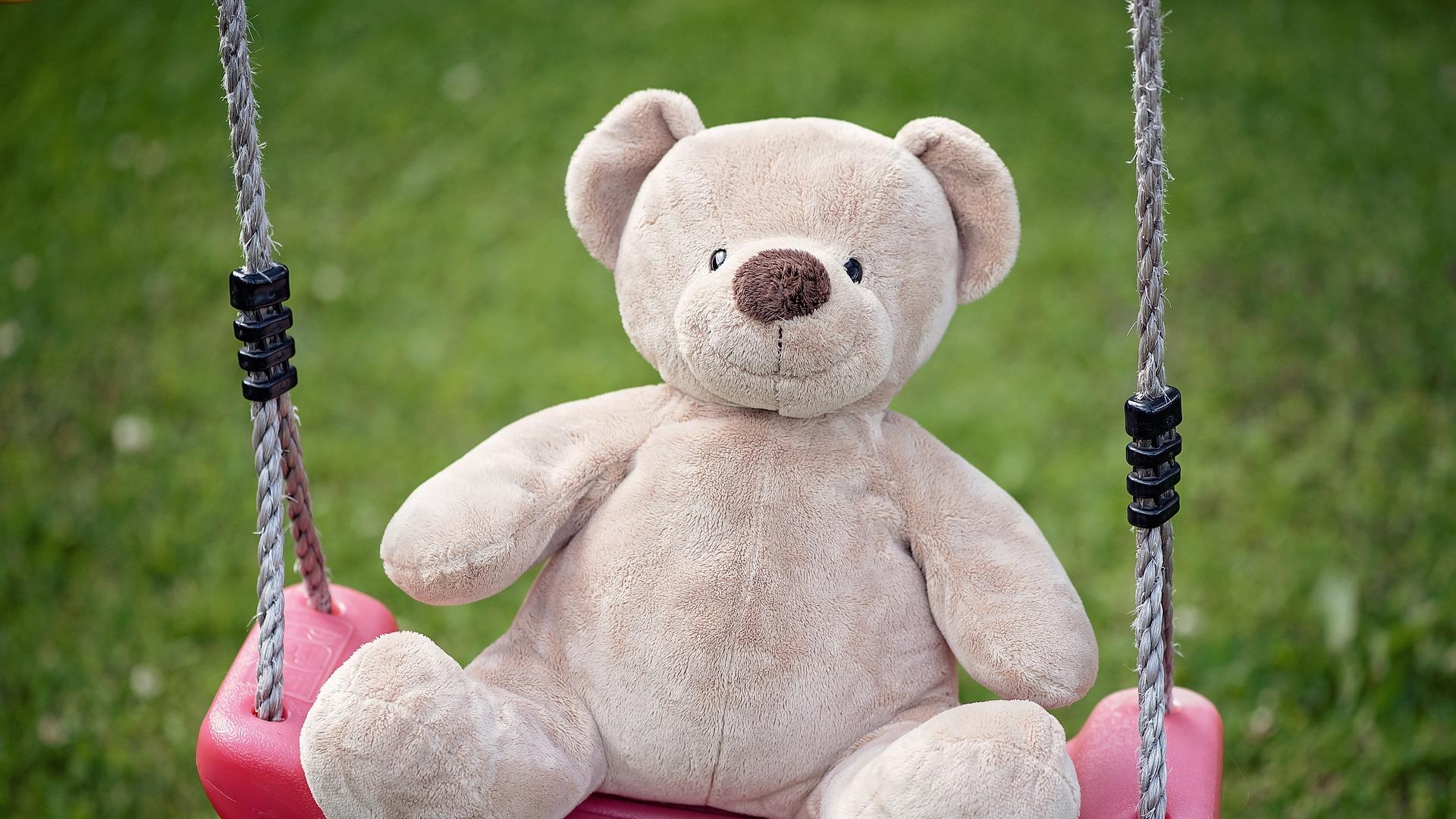 Teddy