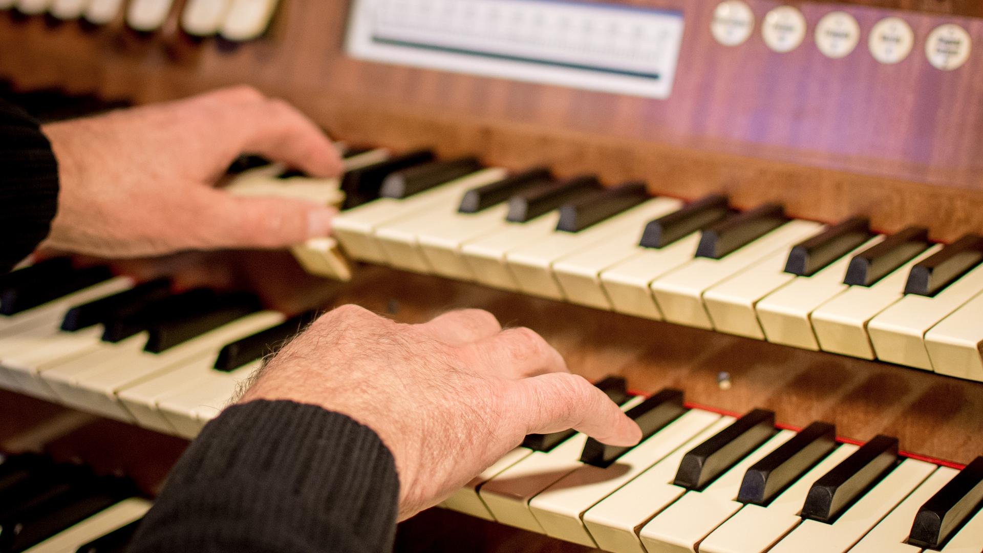 Orgel