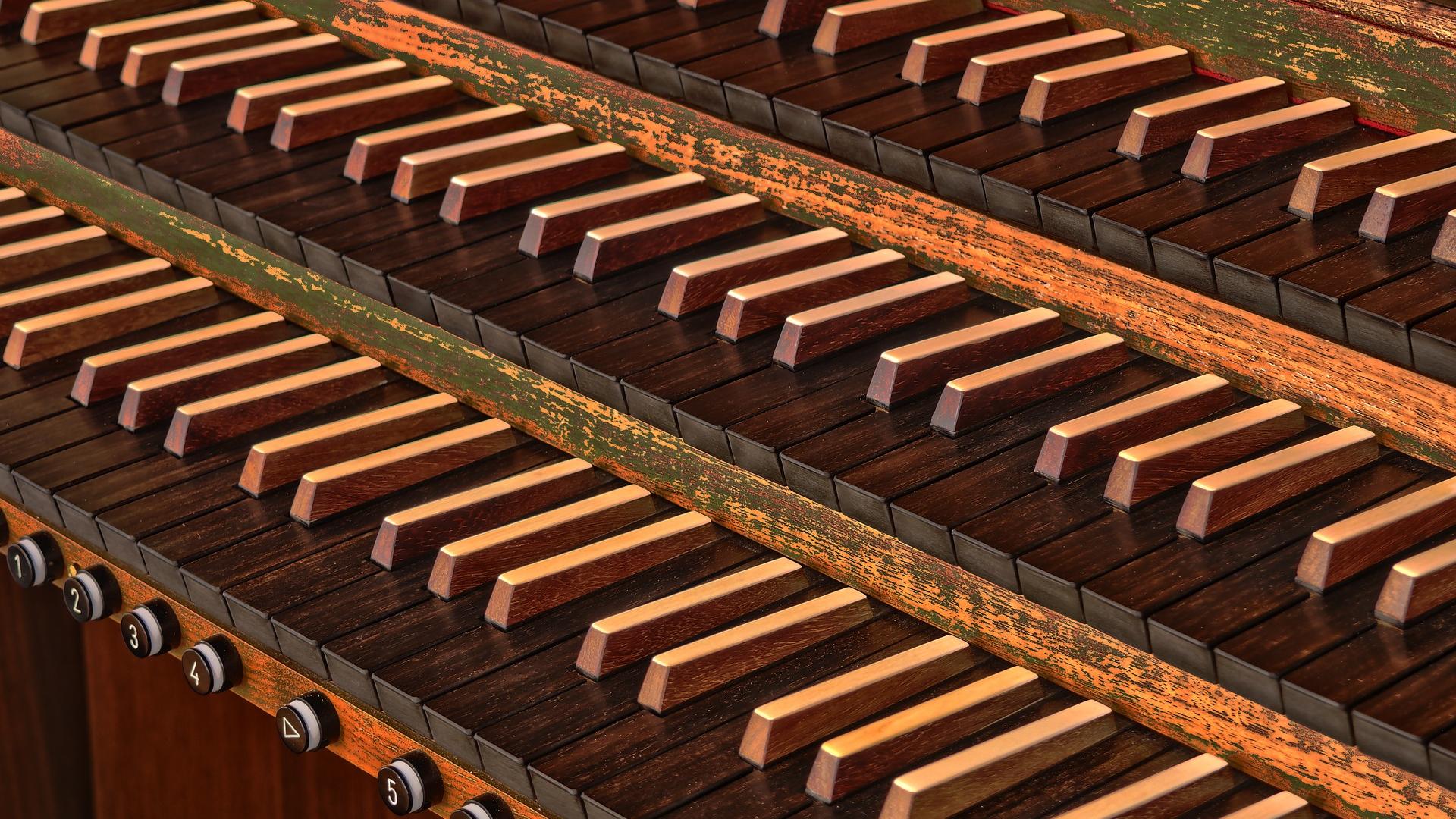 Orgel