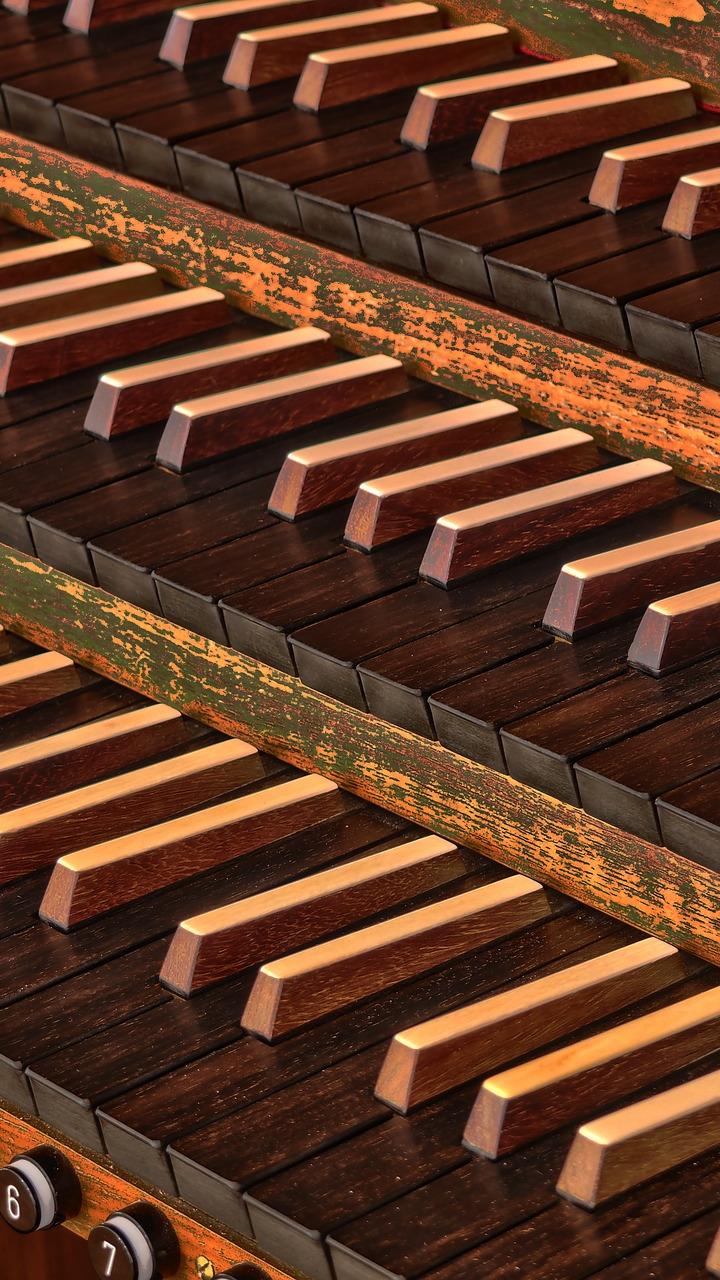 Orgel
