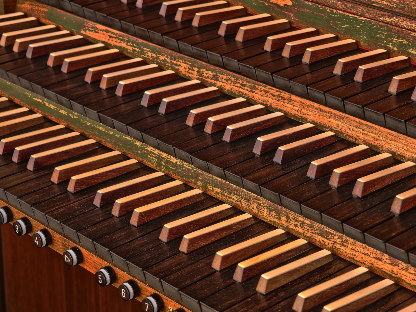 Orgel