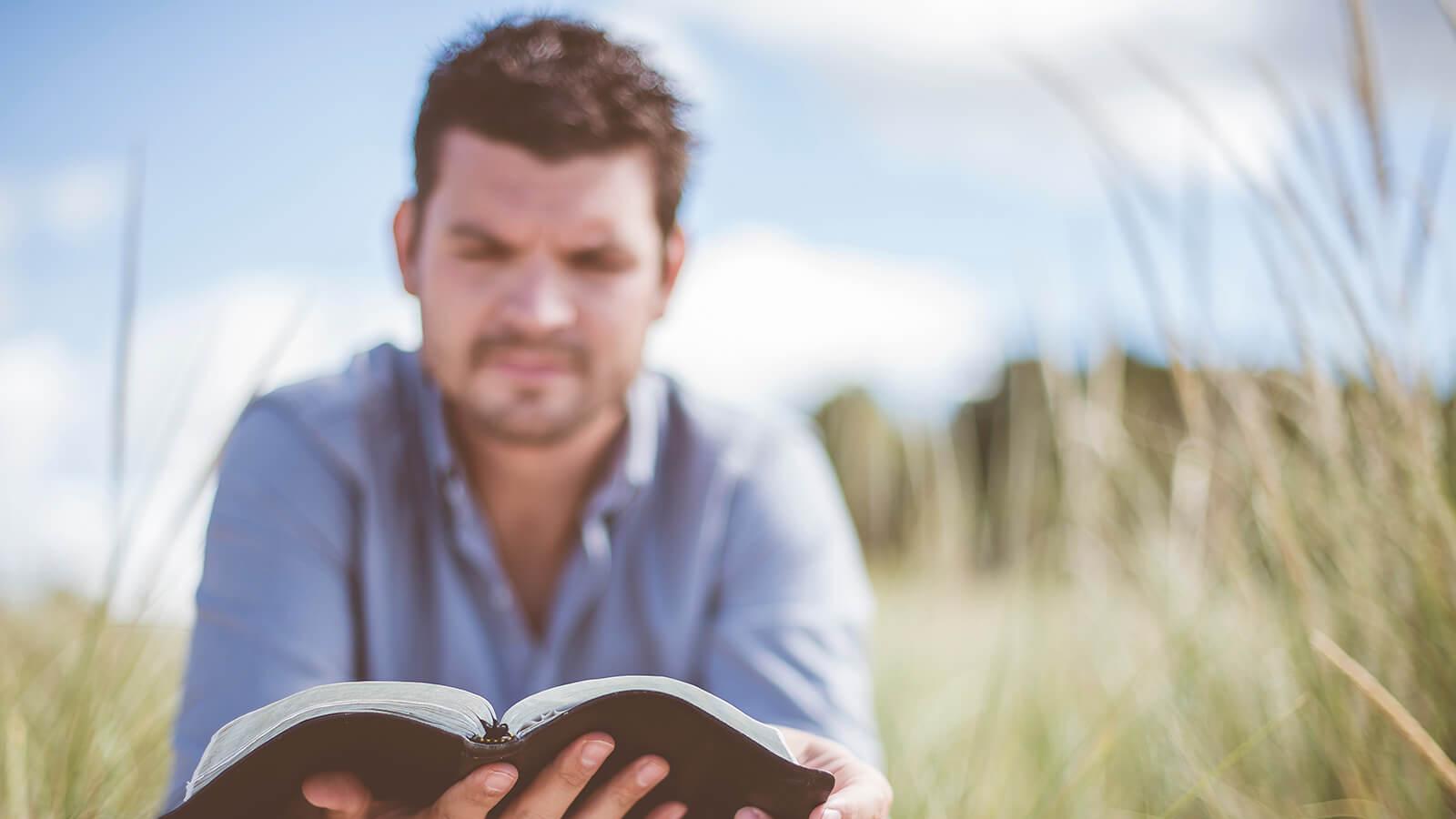 Mann mit Buch in einer Wiese